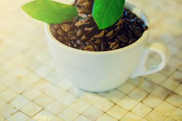 Coffee beans and green leafs in a white cup on a table at bar counter in restaurant or cafe