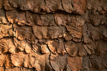 traditional dried leaves wall as background