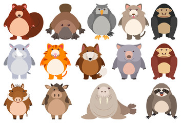 Set of cartoon character