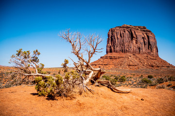 Amazing rock sculptures at Monument Valley - travel photography