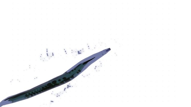 Stylized depiction of microscopic worm C. Elegans swimming 