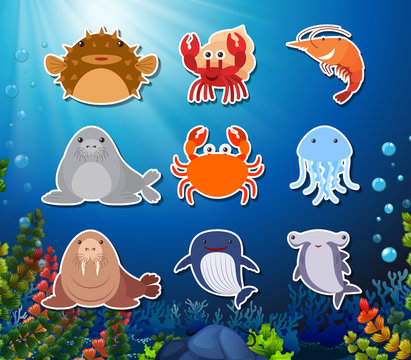Set of underwater creature character