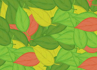 A fallen leaf background