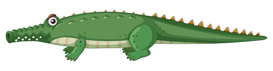 Isolated crocodile character white background