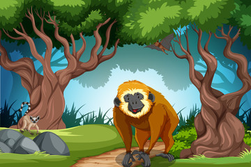 Naklejka premium Monkey in the wild forest