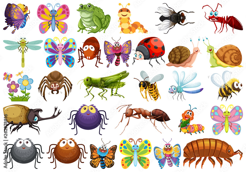 Canvas Prints Set of insect character