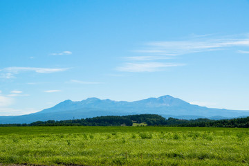 緑の草原と夏山
