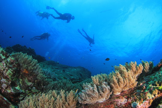 Scuba dive on coral reef 