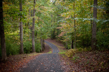 Fototapeta na wymiar Country Road in Fall