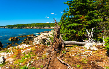 Fototapeta na wymiar Acadia National Park is Atlantic coast recreation area. Its landscape is marked by woodland, rocky beaches and glacier-scoured granite peaks such as Cadillac Mountain, the highest point on the United 