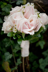Bouquet of Pink Roses