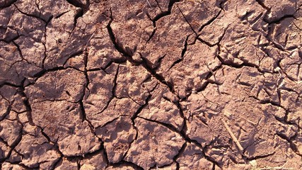 earth texture