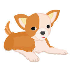Cute Chihuahua Dog Illustration .this is high resolution vector artwork. print ready vector design and ready to use anywhere.