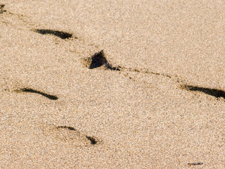Sand background Footprint