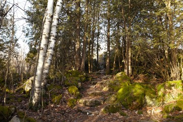 Obraz premium Escarpment, Ontario Nature, Canada
