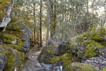 Escarpment,  Ontario Nature, Canada