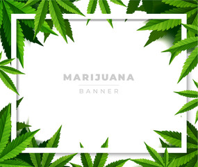 Green cannabis leaf drug marijuana herb Background.