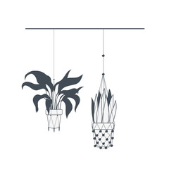houseplants on macrame hangers icon
