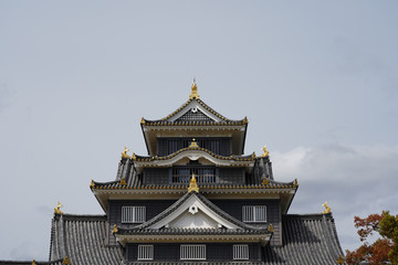 Fototapeta premium Okayama Castle