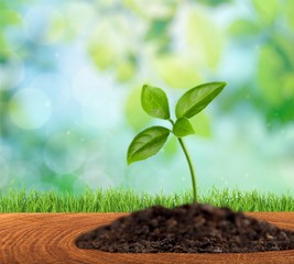 Grow.