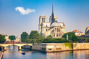 Fototapeta na wymiar Notre Dame de Paris at spring, France