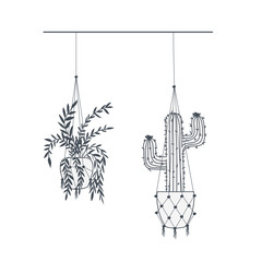 houseplants on macrame hangers icon
