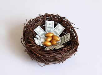 Golden eggs and dollars on a nest.