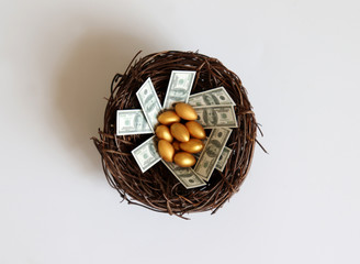 Money with an egg in a nest.