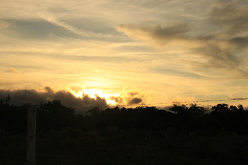 atardecer en campo