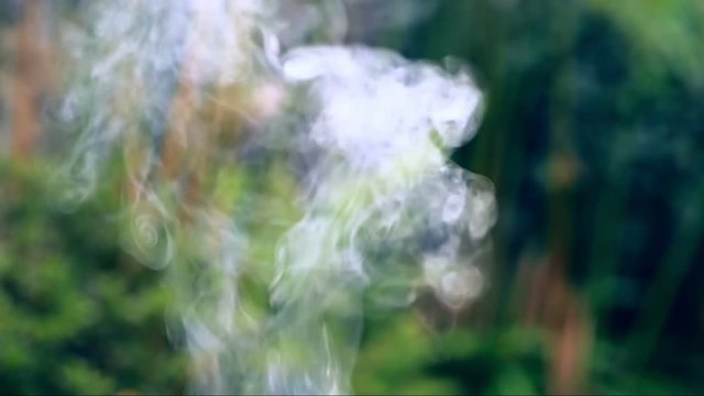 Smoke rising in swirls with green nature bokeh background