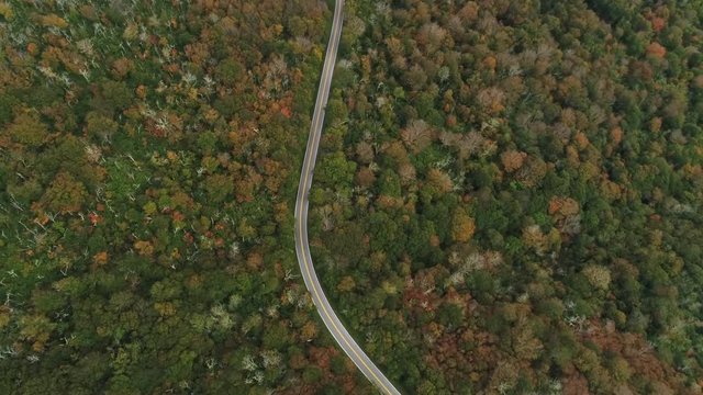 Aerial, Cherokee National Forest road