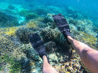 diver is wearing black fin for diving