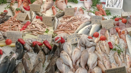a variety of seafood at athens central market