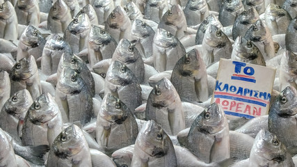 unusual display of fresh fish at athens central market