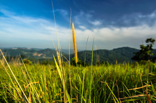 Broga Hill at Semenyih Selangor