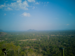 Obraz premium Ruki Photography