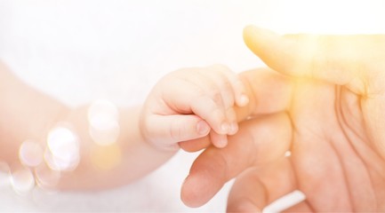 New born baby hand holding kuman hand on white background
