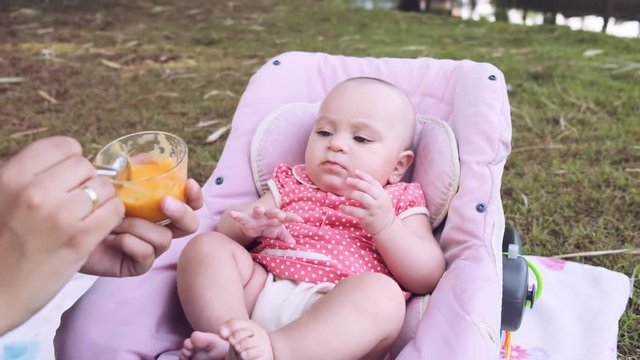 Mother feeding daughter of a few months with baby food on a sunny day in a park. - Powered by Adobe