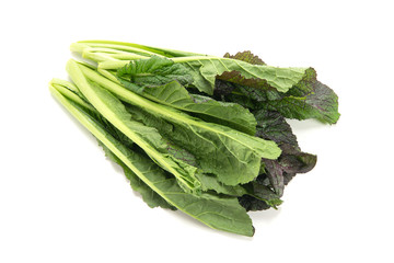 レッドリーフマスタード