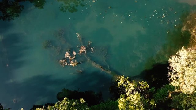 Drone aerial still shot of the hidden Telaga Biru (Blue Lake) at the forest near Gede Mountain in Java island, Indonesia