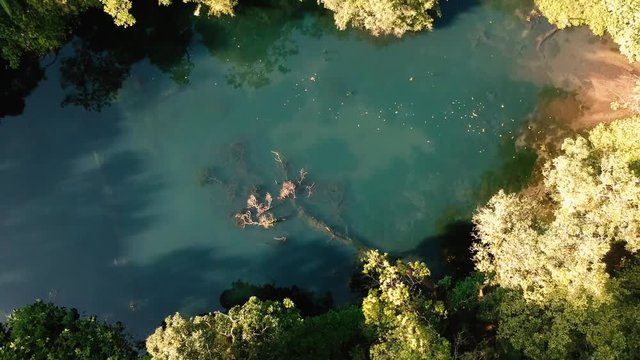 Drone aerial top pull back of the hidden Telaga Biru (Blue Lake) at the forest near Gede Mountain in Java island, Indonesia