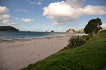 beach at sunset