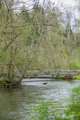 Fototapeta na wymiar Salmon creek and wood bridge
