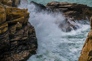 Plougrescant, Côtes-d'Armor, Bretagne, France.
