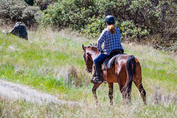 Unidentified woman riding a horse on the hills of south San Francisco bay area, Santa Clara county, San Jose, California