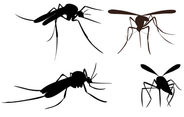 vector, isolated, mosquito silhouette, insect, flying, set