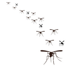  flock of mosquitoes flying, silhouette