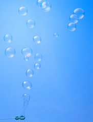 soap bubble in the blue background sphere color ball, round, circle