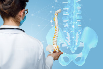 A physician holding an artificial spine model.