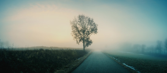 Stra&szlig;e mit Baum im Nebel